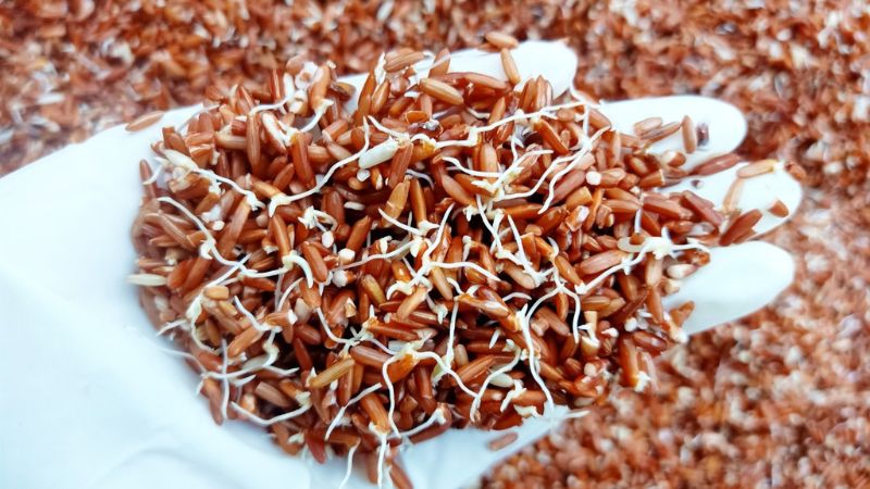 Review sữa rửa mặt Brown Rice