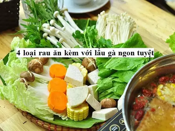 Những loại rau không thể thiếu khi ăn lẩu gà bạn đã biết