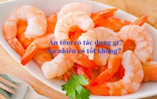 Ăn tôm có tác dụng gì? Ăn nhiều có tốt không?