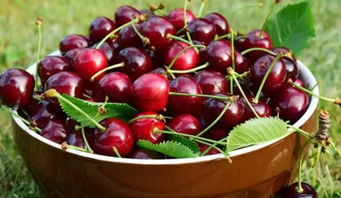 Cách bảo quản quả cherry để lâu không bị hư hỏng