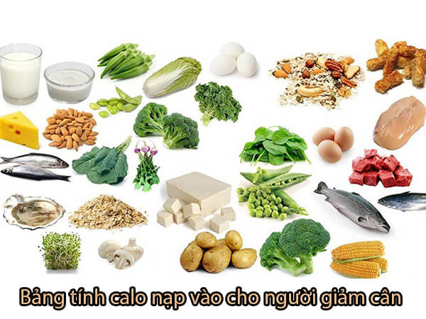 Bảng Tính Calo Nạp Vào Cho Người Giảm Cân Hiệu Quả và Cách Tính