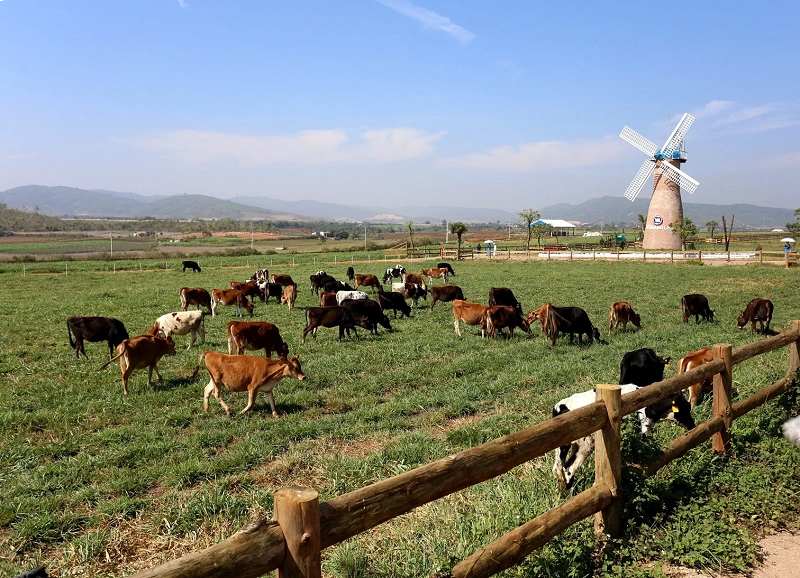 Sữa organic có tốt cho trẻ sơ sinh